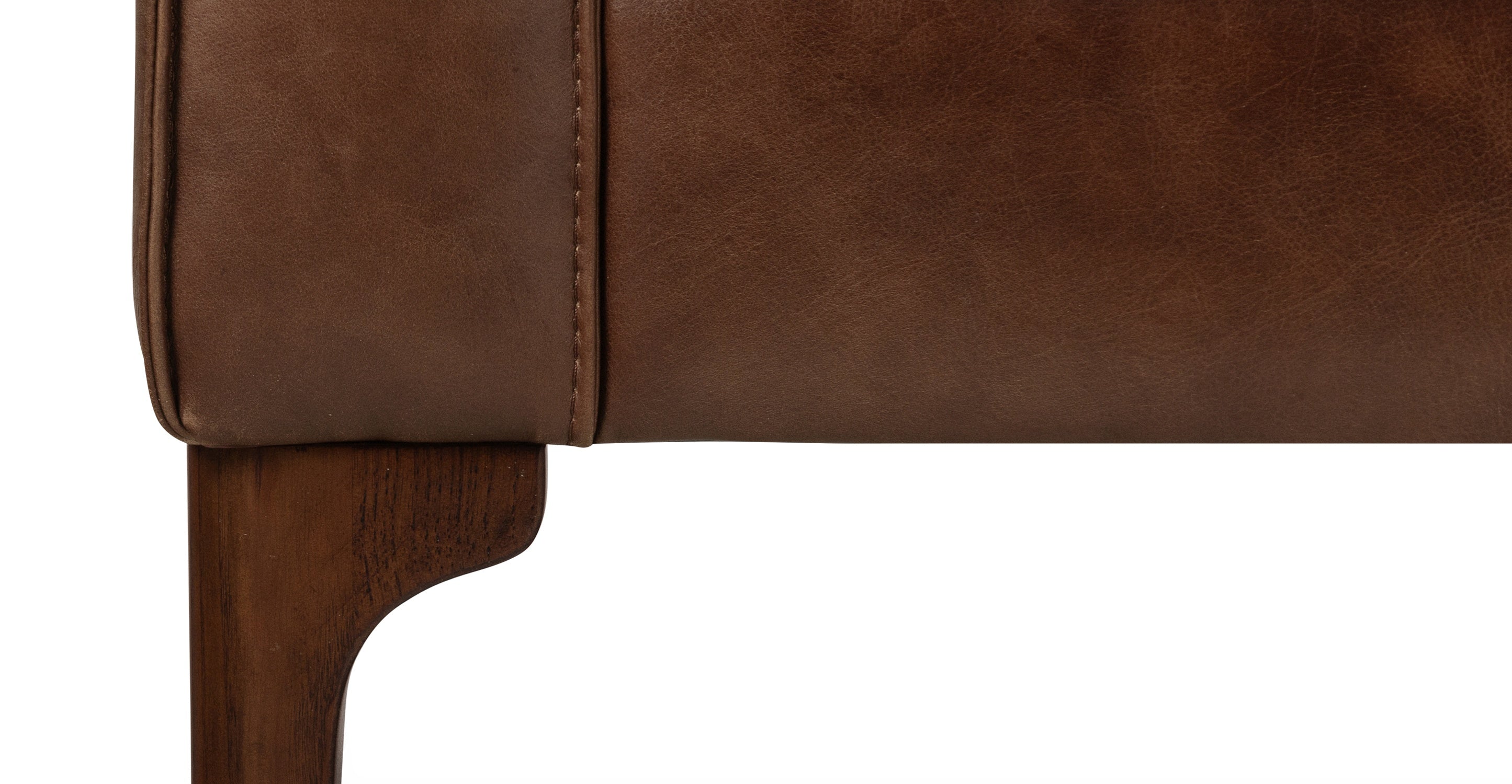 Mateo Leather Lounge Chair