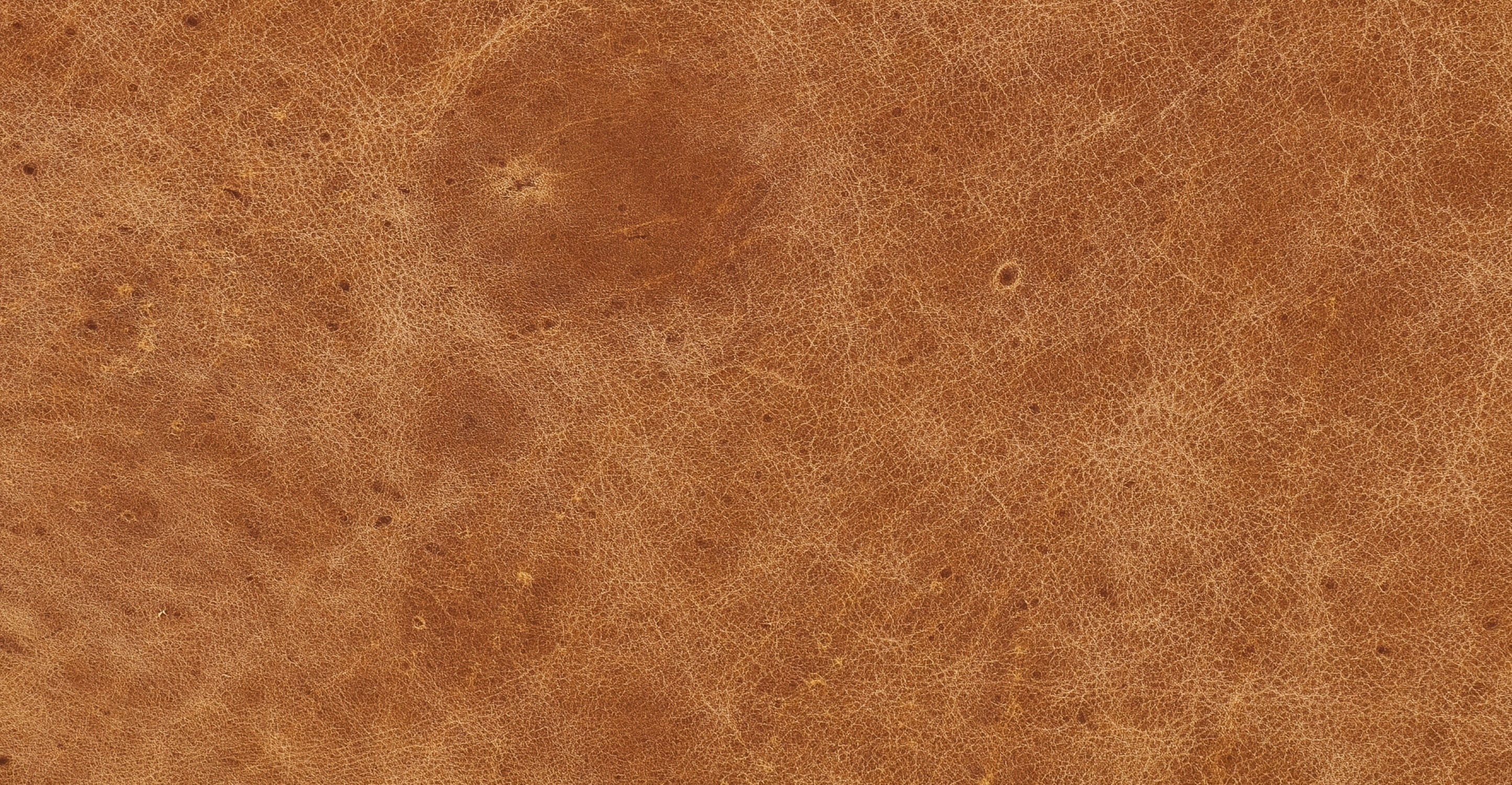 Calle 75 Apartment Sofa