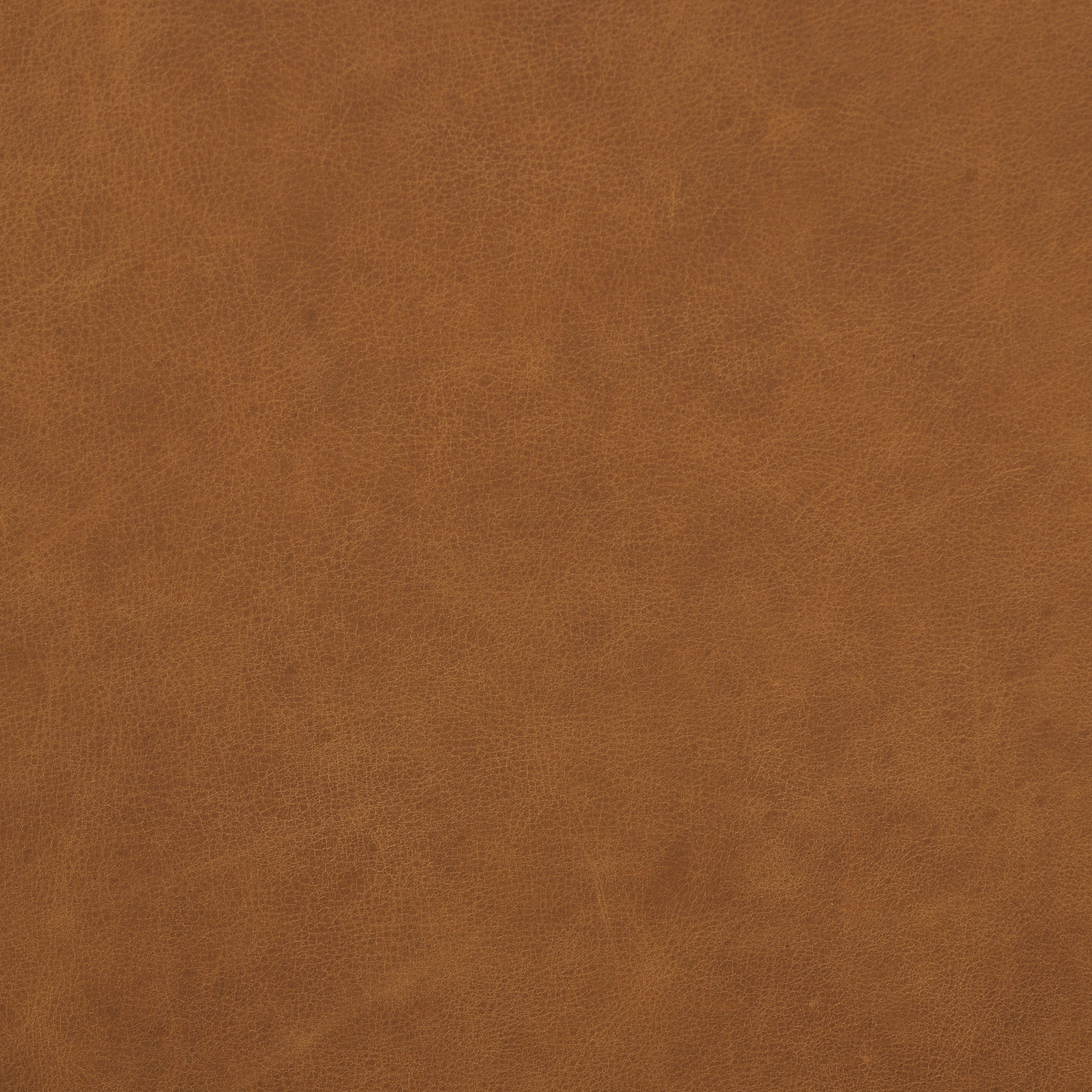 Italian Tanned Leather Swatches