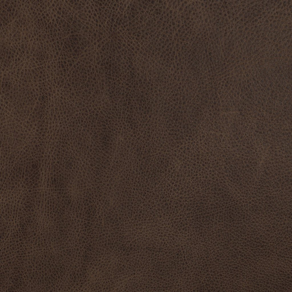 Italian Tanned Leather Swatches