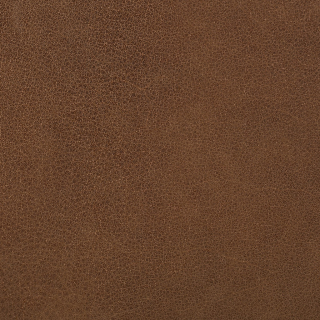 Italian Tanned Leather Swatches