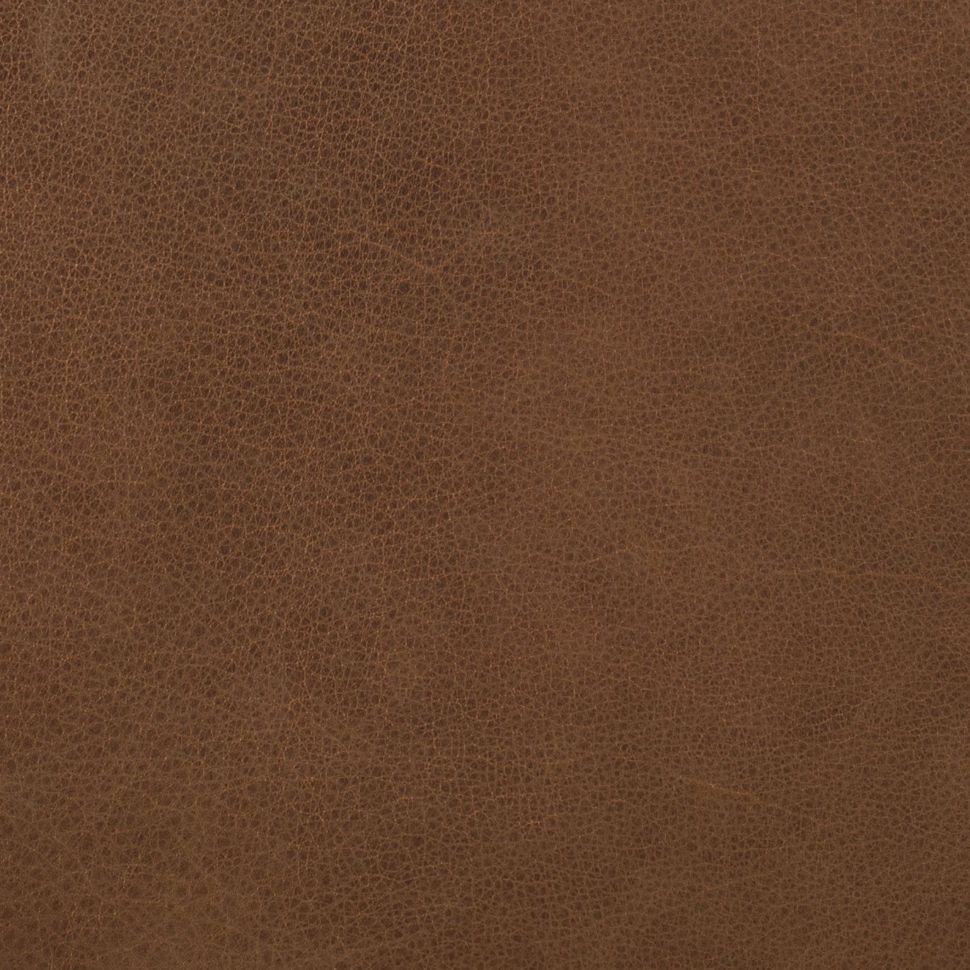 Italian Tanned Leather Swatches