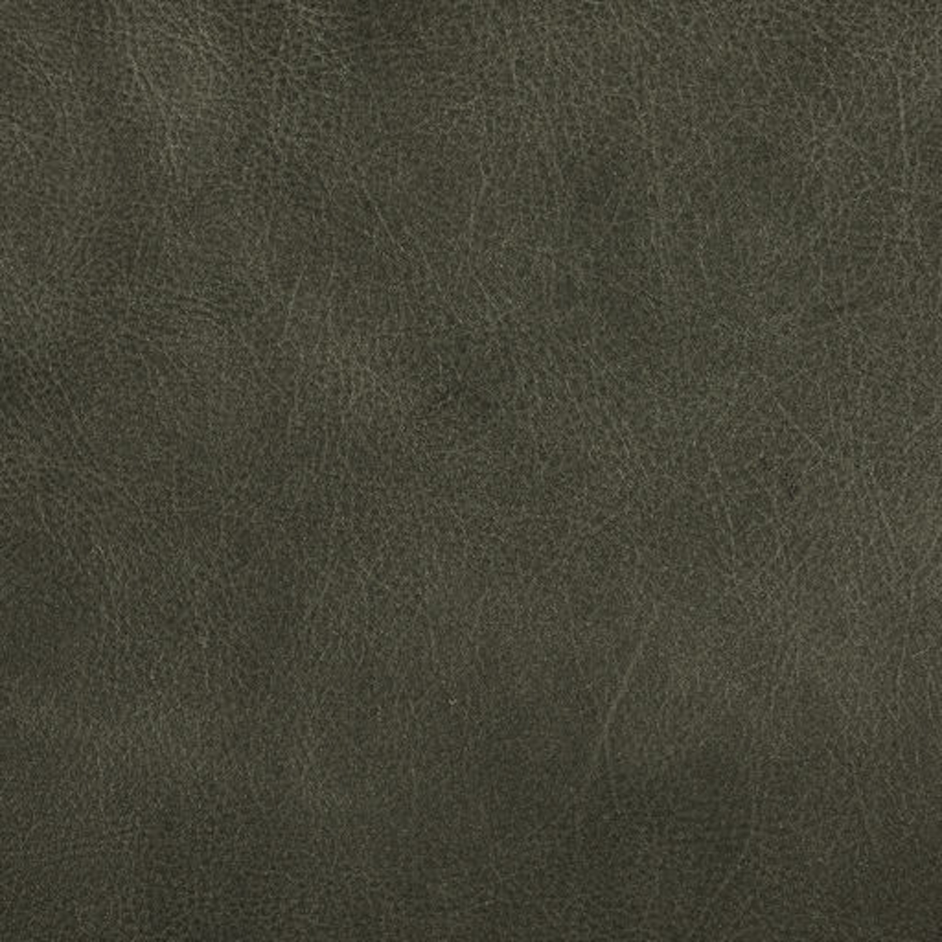Italian Tanned Leather Swatches