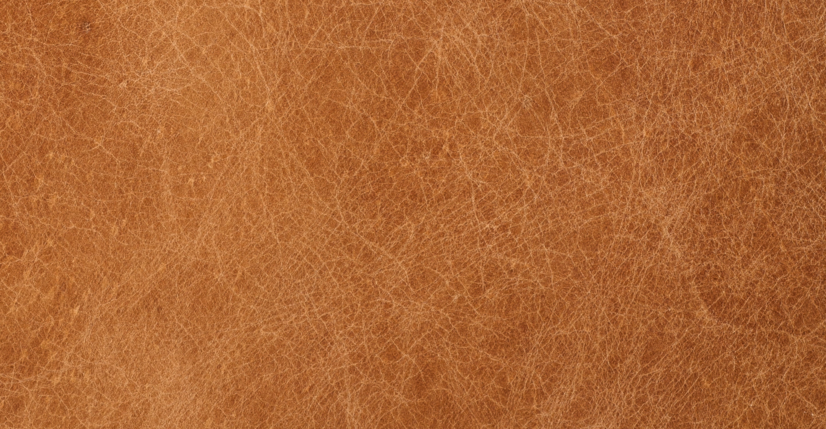 Napa Leather Sofa 88.5”