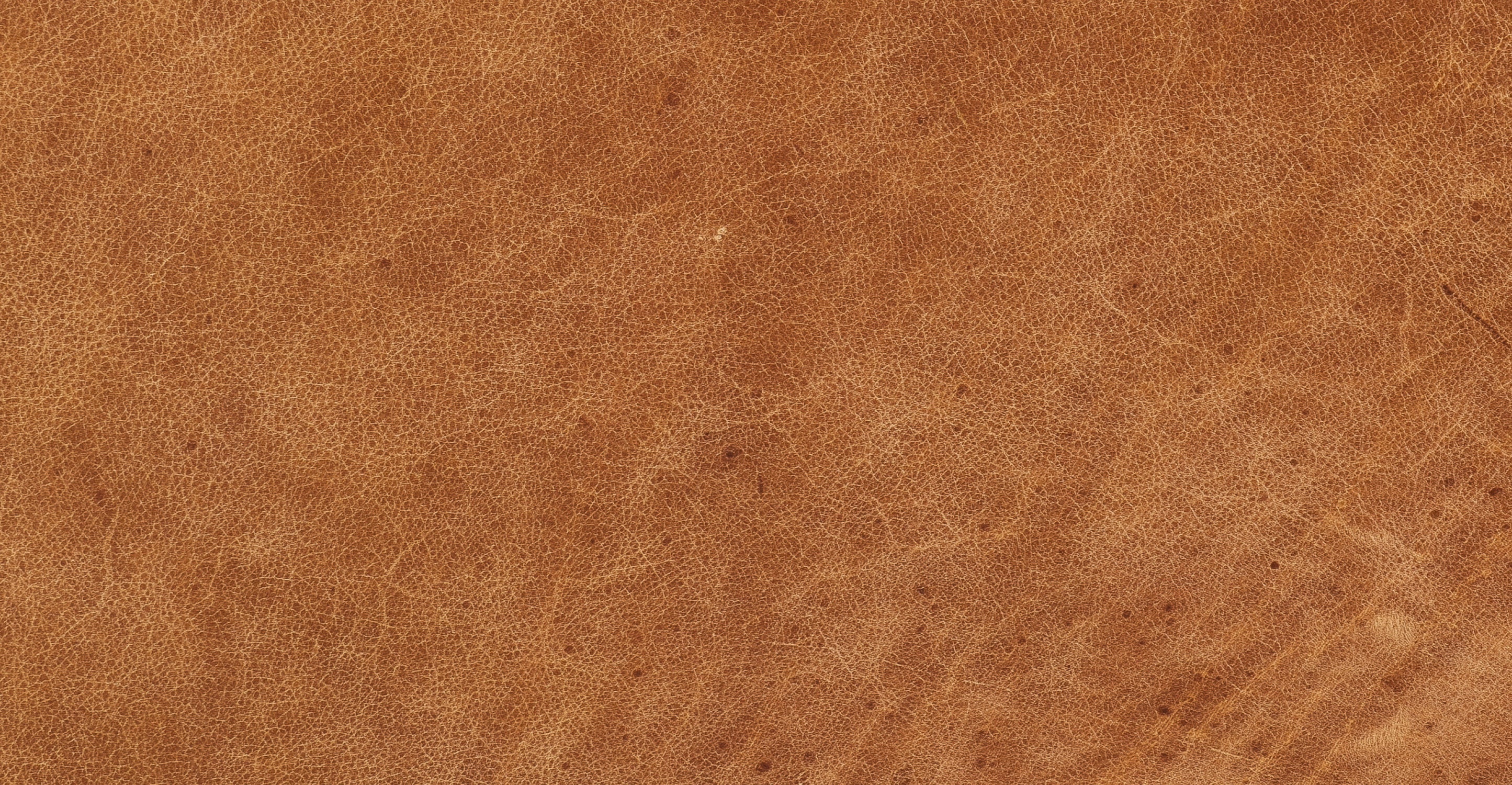 Napa Leather Bed Headboard