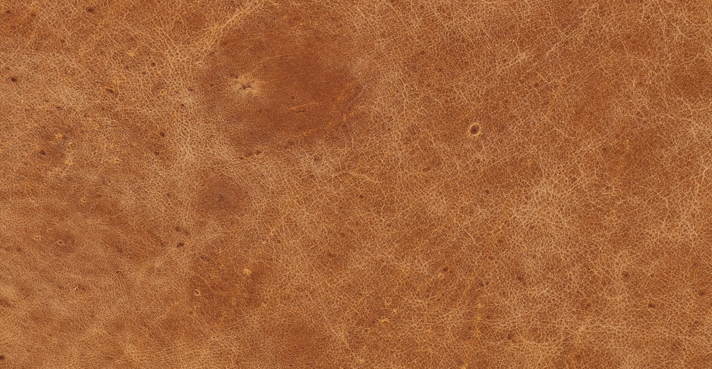 Sorrento Leather Pull-Out Convertible Sleeper Sofa