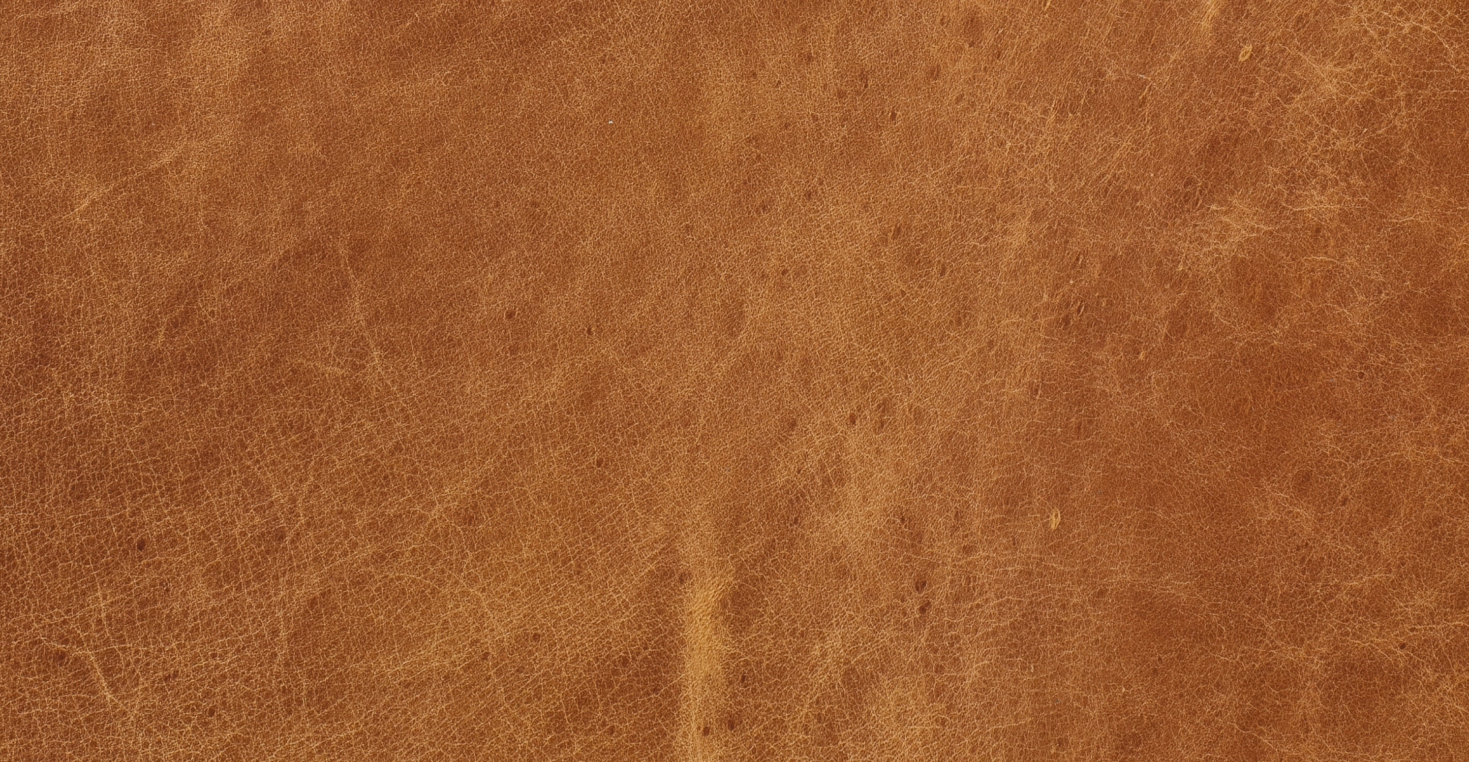 Calle Left-Facing Sectional