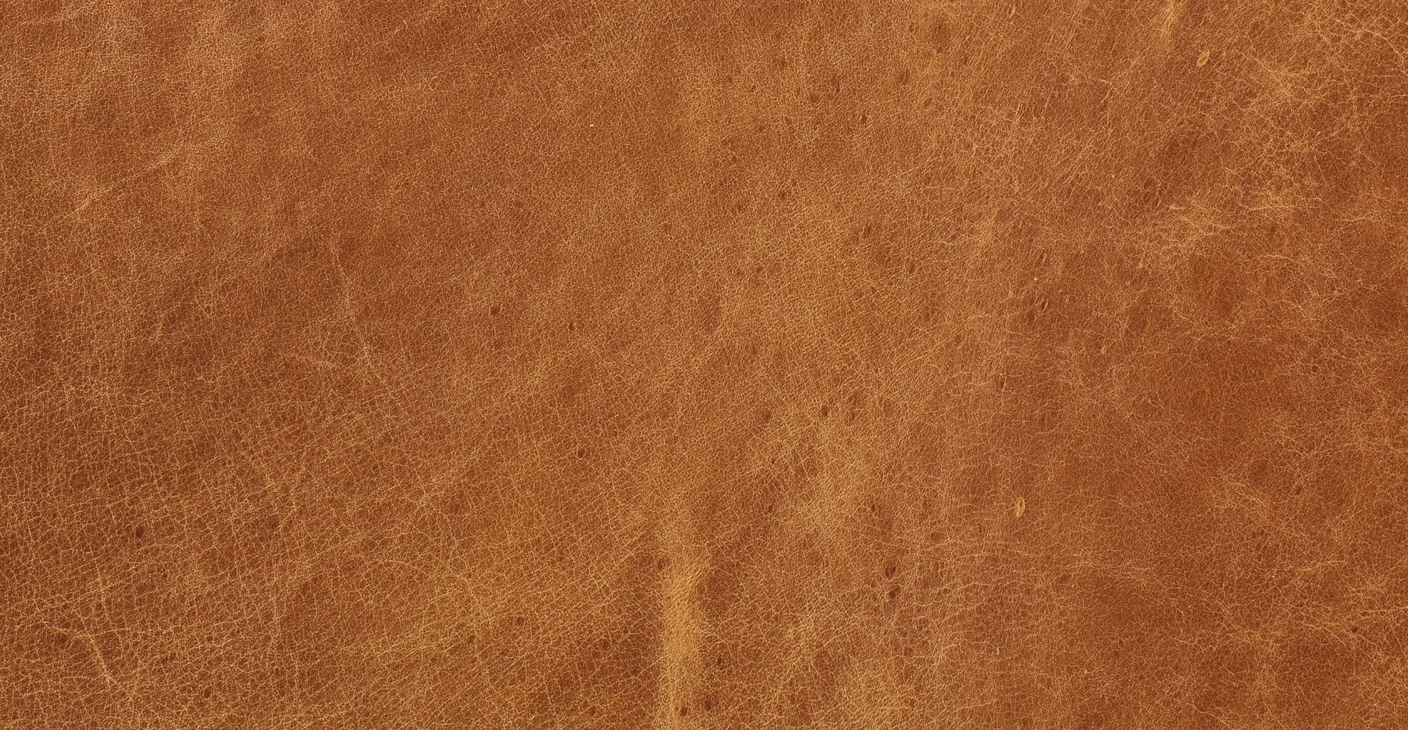 Harper 113.5 Left-facing Pull-Out Sleeper Sectional