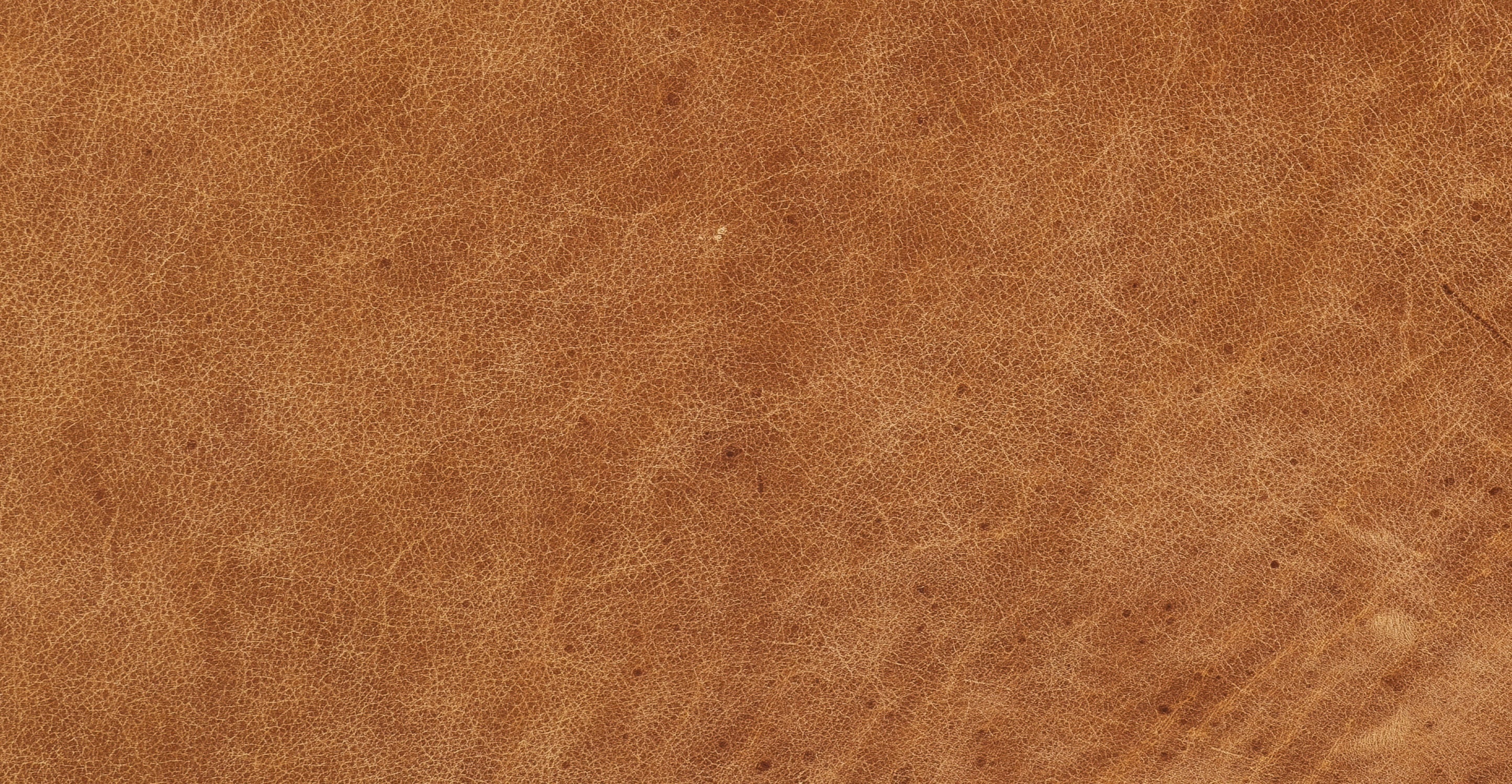 Calle 75 Apartment Sofa