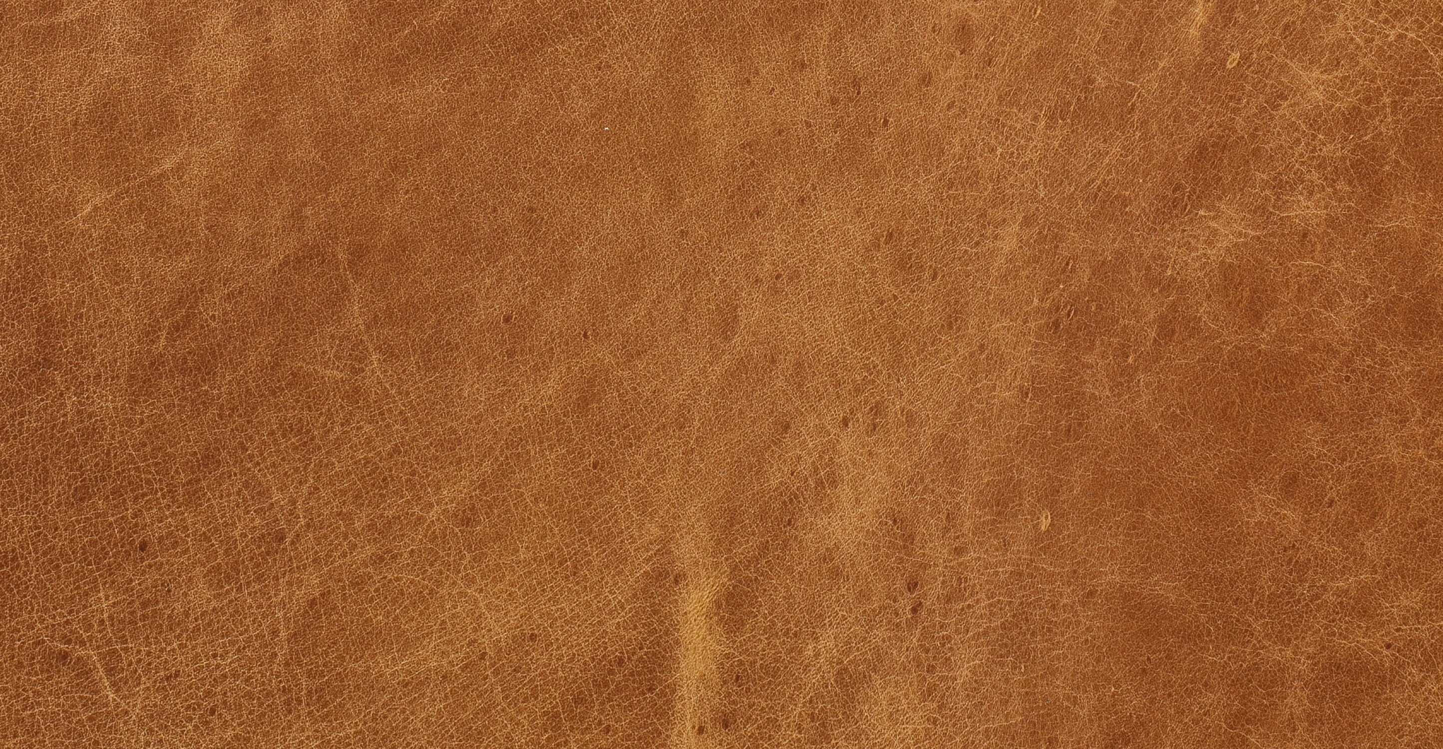 Calle 75 Apartment Sofa